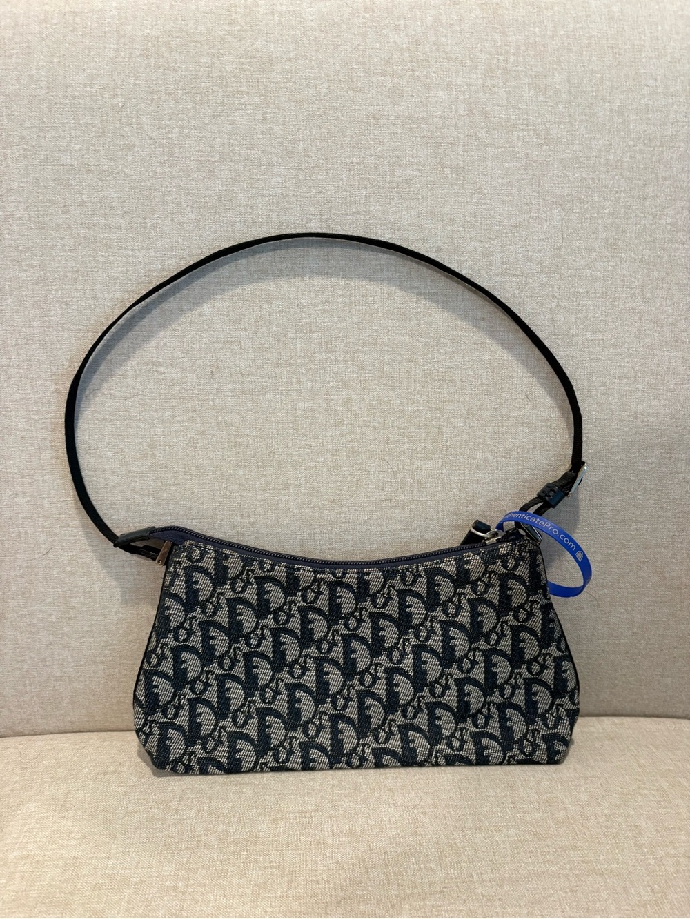 Dior Trotter vintage bag